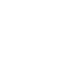 icon2
